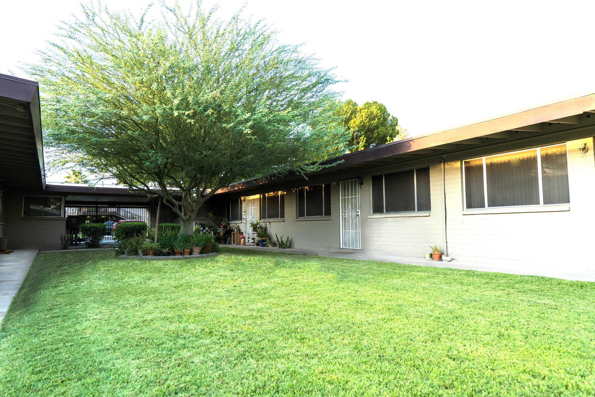 Tropicana Apartments Apartments in Phoenix, AZ